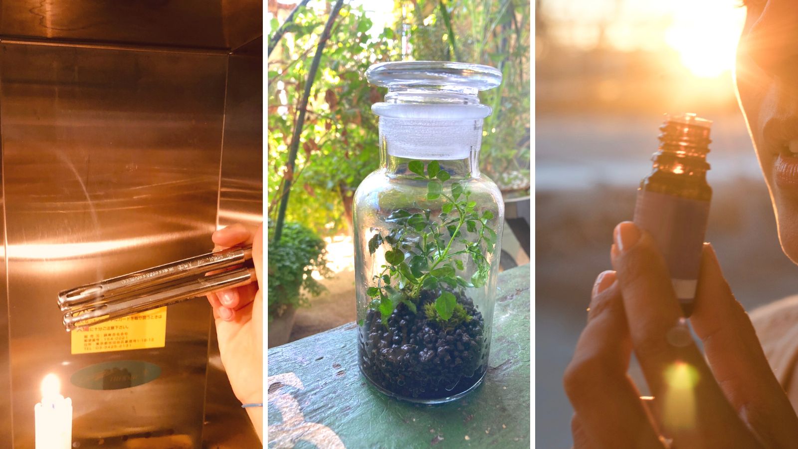 <p>植物の癒しの力で、あなたの体も心も温めたい</p>